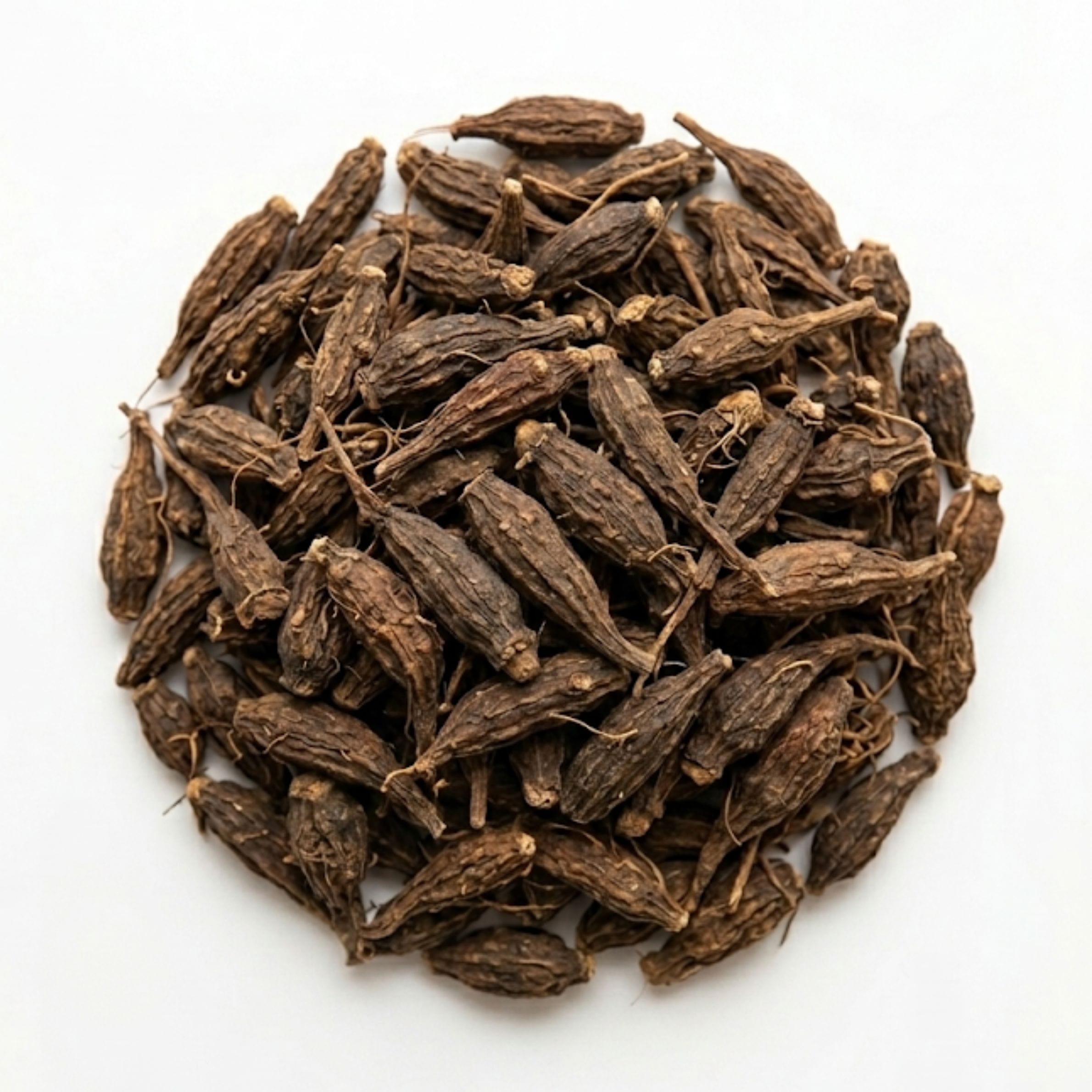 香附子