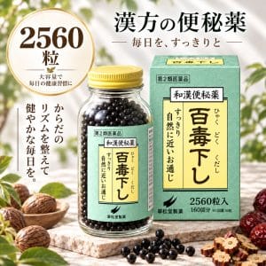 百毒下し 2560粒 第2類医薬品 翠松堂製薬
