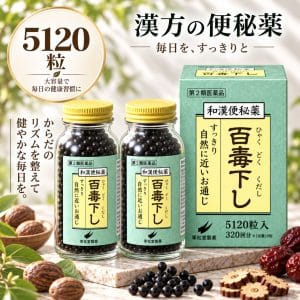 百毒下し 5120粒 第2類医薬品 翠松堂製薬