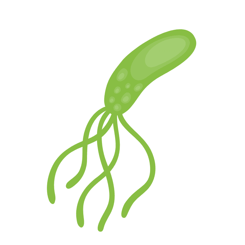ピロリ菌感染などの関与